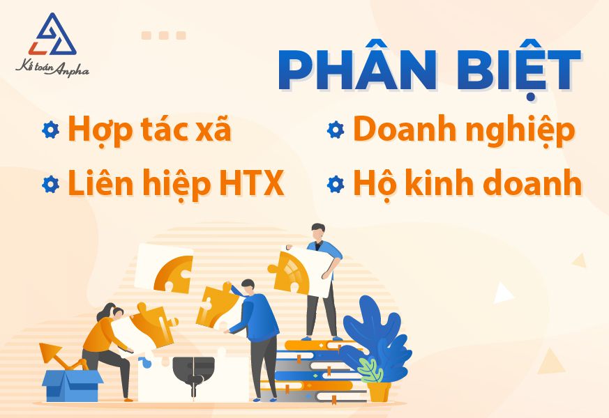 Hợp tác xã, liên hiệp hợp tác xã, vx88 esball & hộ vx88 esball